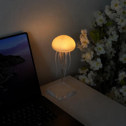 Jellyfish Lamp